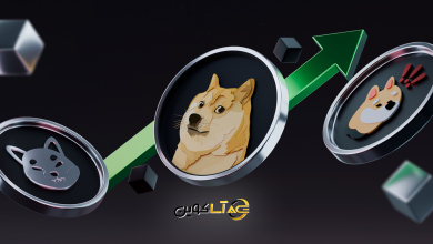 میم کوین چیست