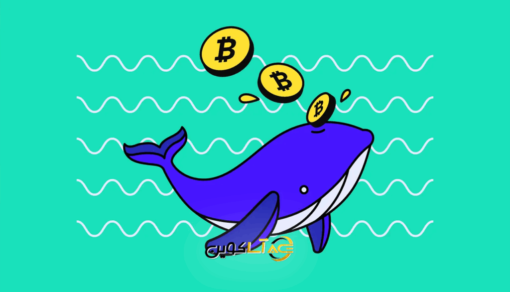 همه چیز درباره نهنگ‌ بازار ارز دیجیتال