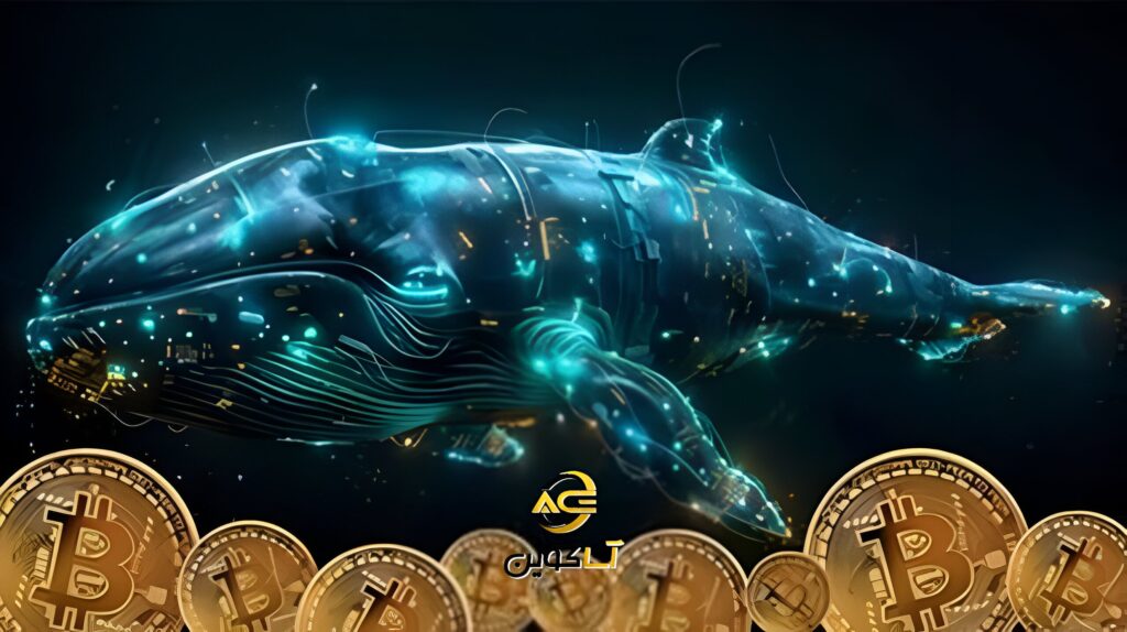 نهنگ‌ها از جان بیت‌کوین چه می‌خواهند؟