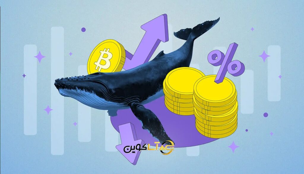 تحلیل رفتار نهنگ‌ها