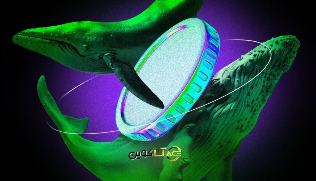 ۳ آلتکوین با بیشترین ورود سرمایه نهنگ‌ها در هفته اخیر و پیش‌بینی رشد آن‌ها در ماه نوامبر ۲۰۲۵