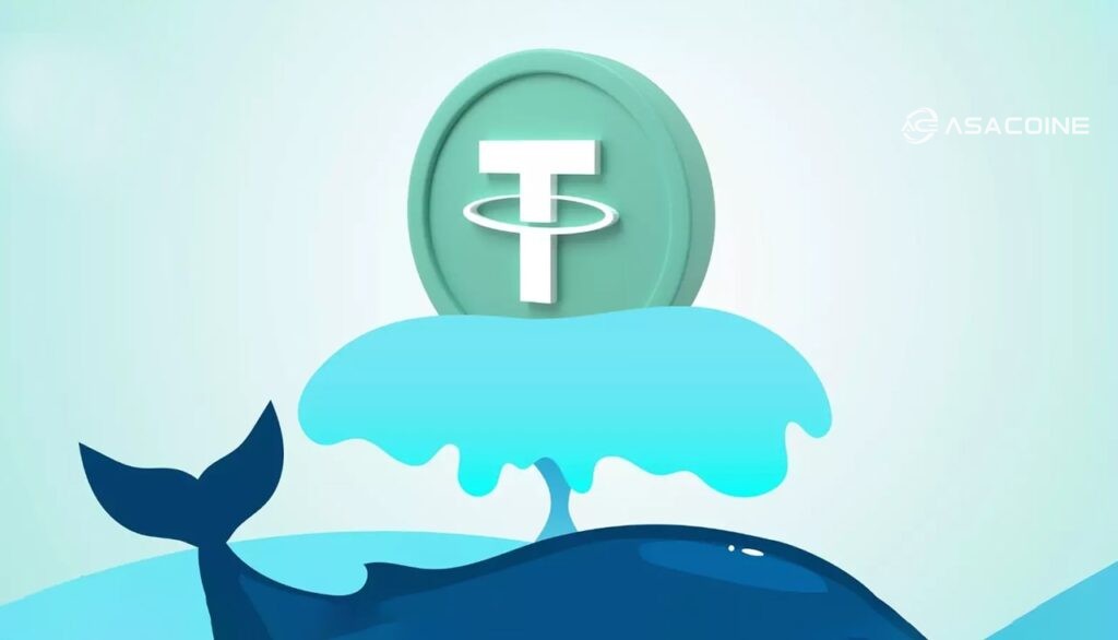 رفتار نهنگ‌ها و حجم معاملات