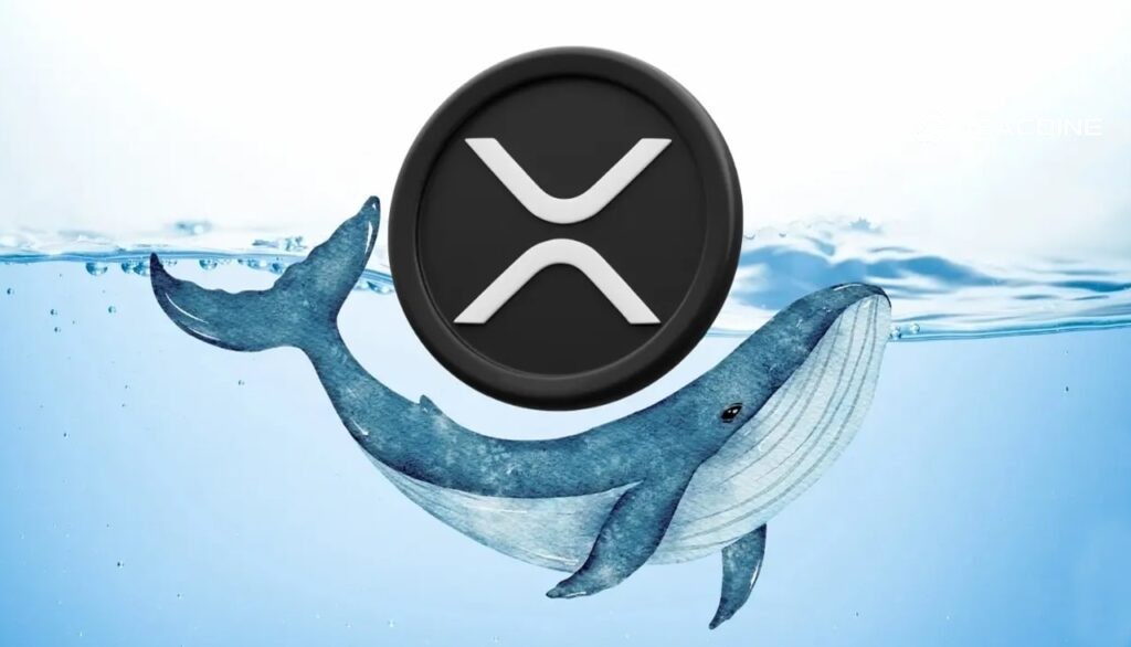 رفتار نهنگ‌ها و حجم معاملات