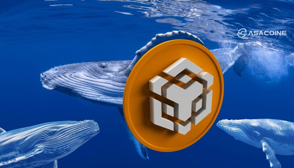 رفتار نهنگ‌ها و حجم معاملات